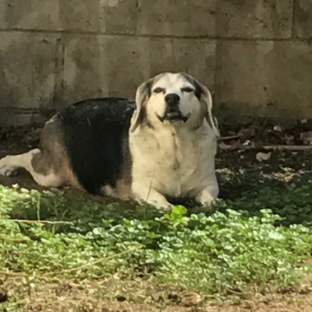 Meet your Posher, Lucas